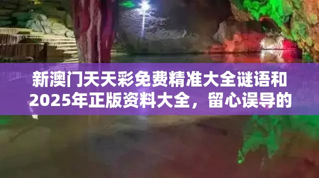 新澳门天天彩免费精准大全谜语和2025年正版资料大全，留心误导的假幌子链