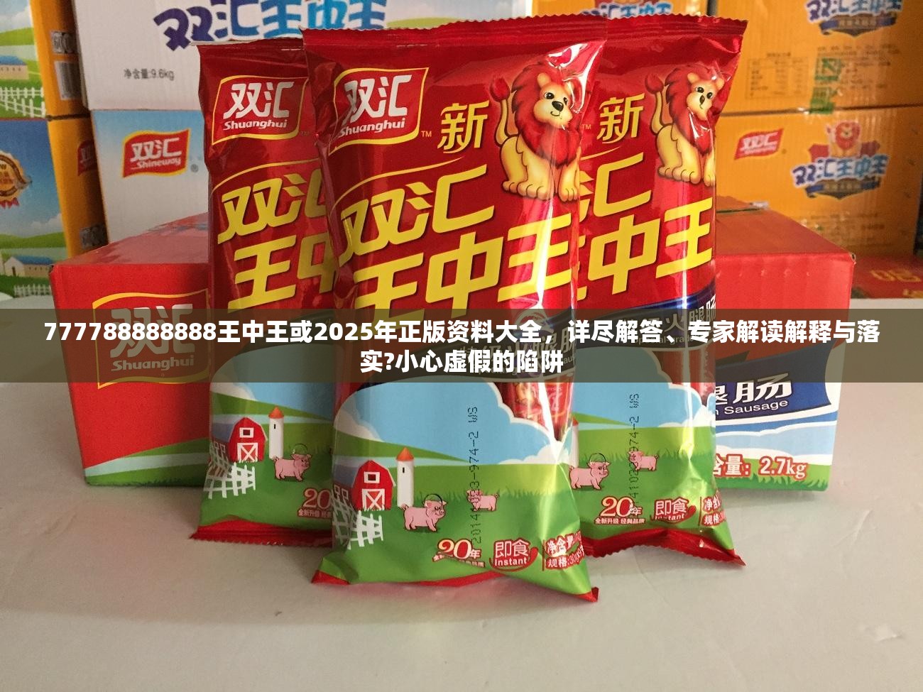 777788888888王中王或2025年正版资料大全，详尽解答、专家解读解释与落实?小心虚假的陷阱