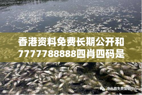 香港资料免费长期公开和7777788888四肖四码是什么，重点释义、解释与落实,警惕不实的钓鱼钩