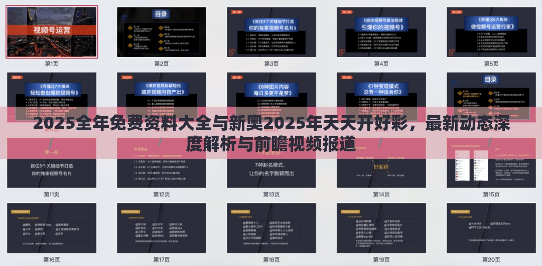 2025全年免费资料大全与新奥2025年天天开好彩，最新动态深度解析与前瞻视频报道