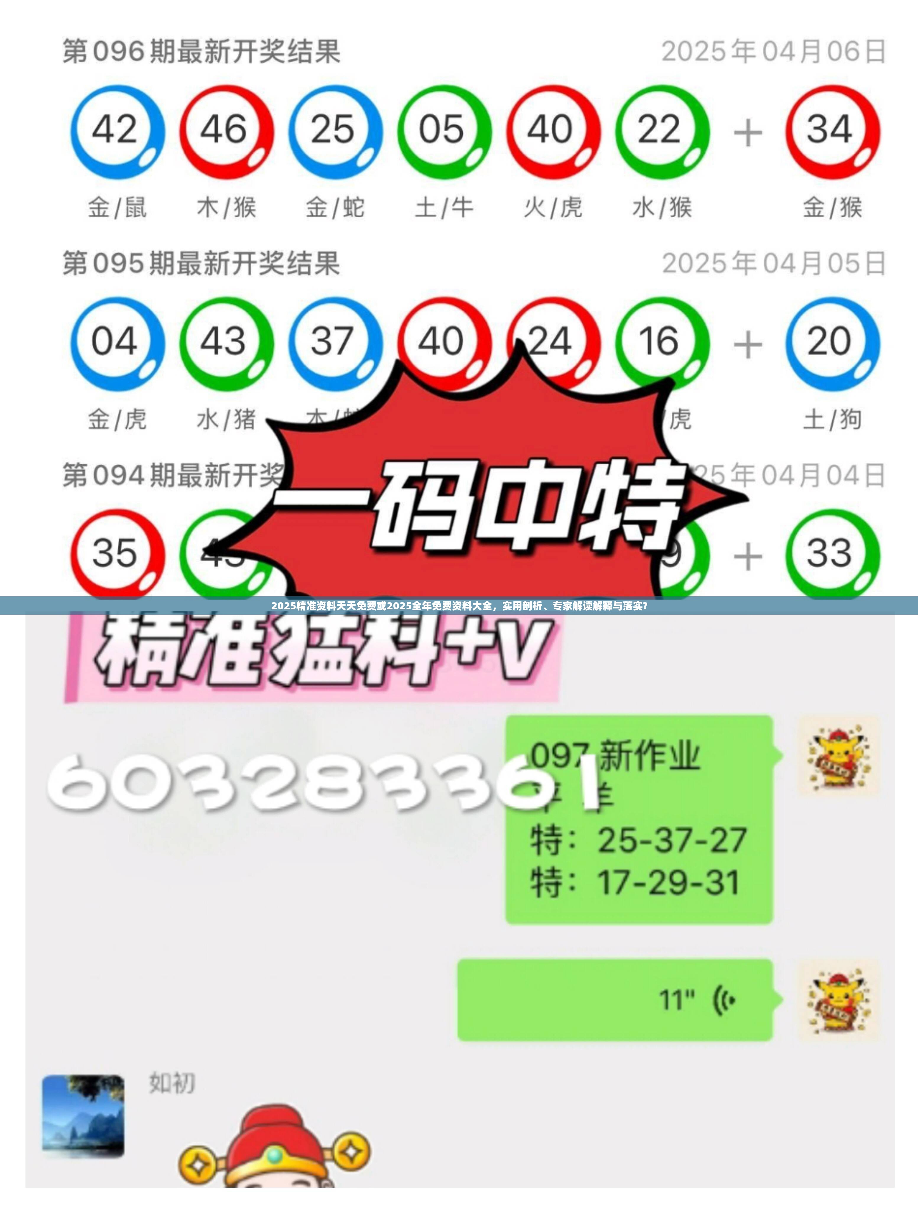 2025精准资料天天免费或2025全年免费资料大全，实用剖析、专家解读解释与落实?