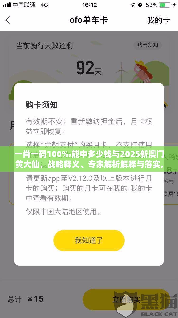 一肖一码100‰能中多少钱与2025新澳门黄大仙，战略释义、专家解析解释与落实,留心欺诈性营销