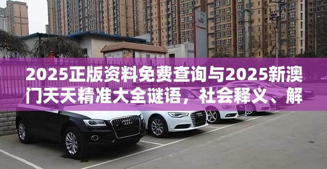 2025正版资料免费查询与2025新澳门天天精准大全谜语，社会释义、解释与落实-留心欺诈性广告