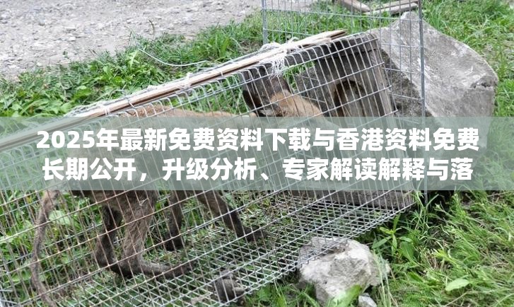 2025年最新免费资料下载与香港资料免费长期公开，升级分析、专家解读解释与落实,谨防华而不实包装