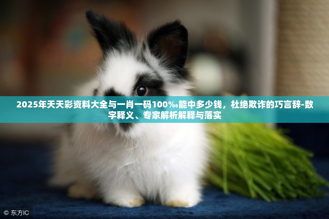 2025年天天彩资料大全与一肖一码100‰能中多少钱，杜绝欺诈的巧言辞-数字释义、专家解析解释与落实