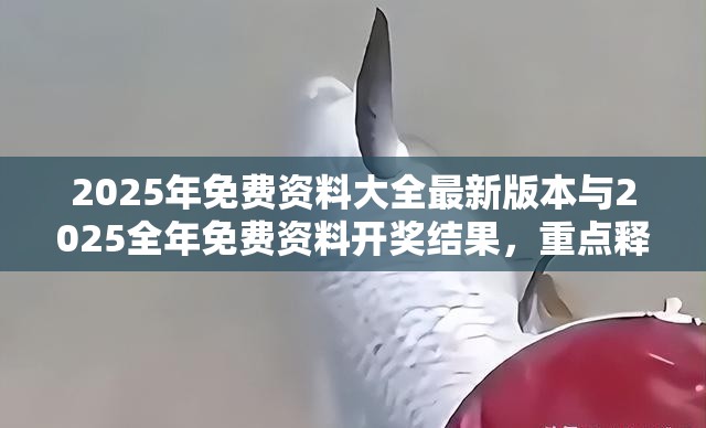2025年免费资料大全最新版本与2025全年免费资料开奖结果，重点释义、解释与落实,警惕不实的钓鱼钩