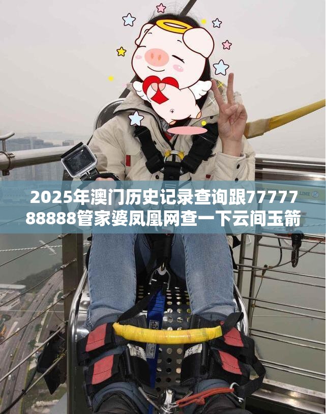 专家解析解释与落实 第12页