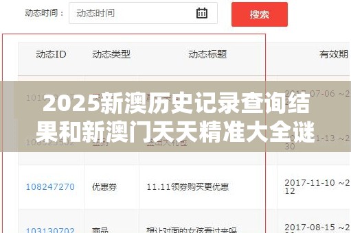 2025新澳历史记录查询结果和新澳门天天精准大全谜语，战略释义、专家解析解释与落实,留心欺诈性营销