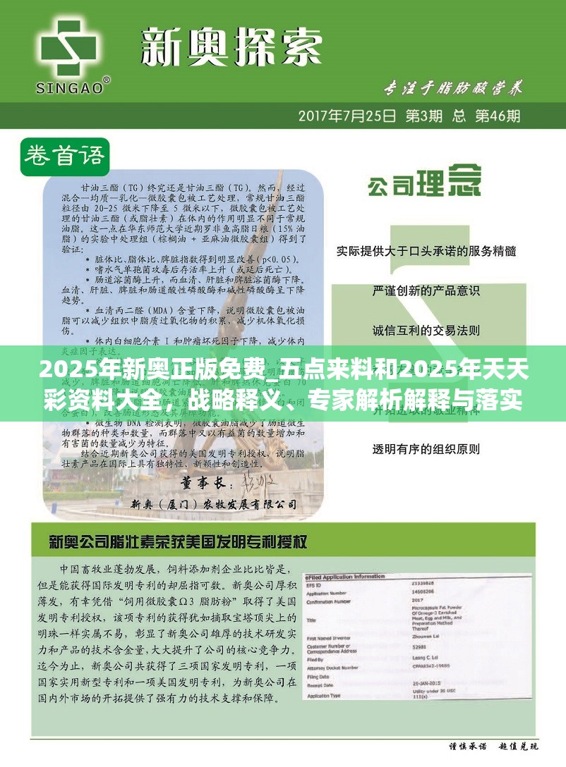 2025年新奥正版免费_五点来料和2025年天天彩资料大全，战略释义、专家解析解释与落实,留心欺诈性营销