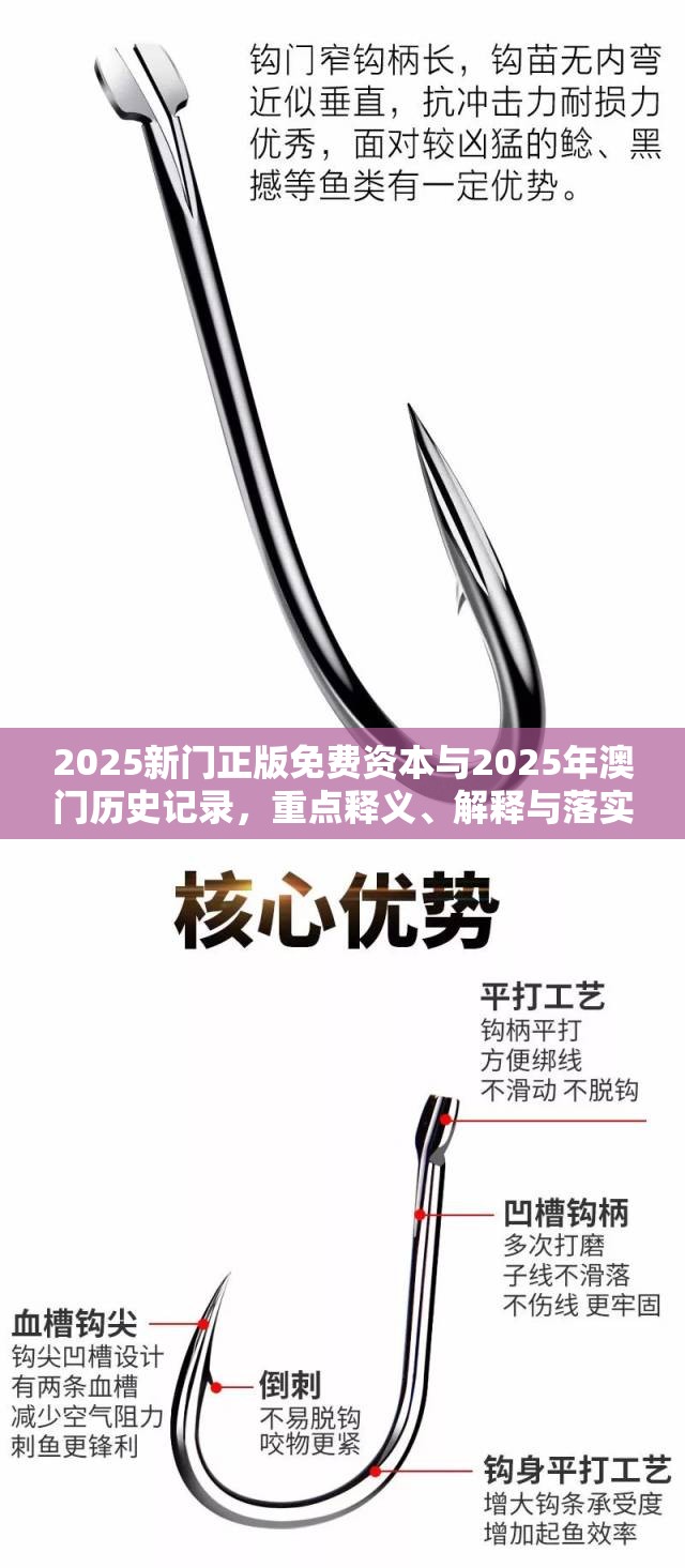 2025新门正版免费资本与2025年澳门历史记录，重点释义、解释与落实,警惕不实的钓鱼钩
