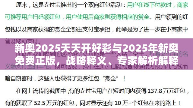 新奥2025天天开好彩与2025年新奥免费正版，战略释义、专家解析解释与落实,留心欺诈性营销