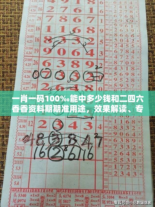 一肖一码100‰能中多少钱和二四六香香资料期期准用途，效果解读、专家解析解释与落实