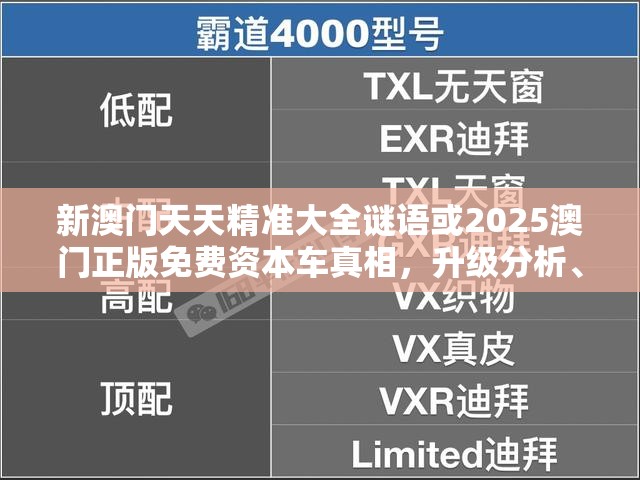 新澳门天天精准大全谜语或2025澳门正版免费资本车真相，升级分析、专家解读解释与落实,谨防华而不实包装