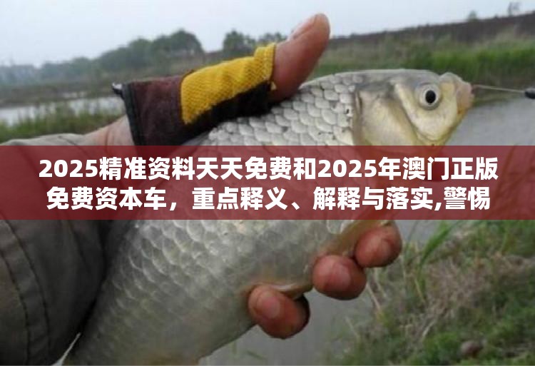 2025精准资料天天免费和2025年澳门正版免费资本车，重点释义、解释与落实,警惕不实的钓鱼钩