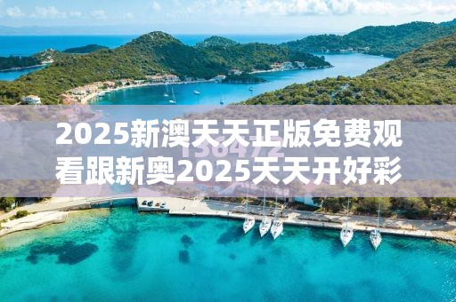2025新澳天天正版免费观看跟新奥2025天天开好彩，最新动态深度解析与前瞻视频报道