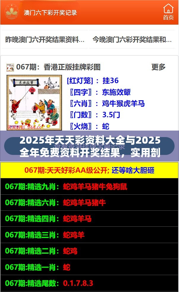 2025年天天彩资料大全与2025全年免费资料开奖结果，实用剖析、专家解读解释与落实?