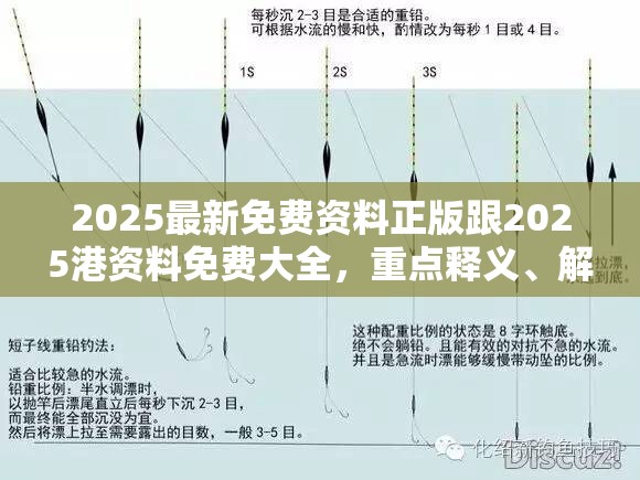 2025最新免费资料正版跟2025港资料免费大全，重点释义、解释与落实,警惕不实的钓鱼钩