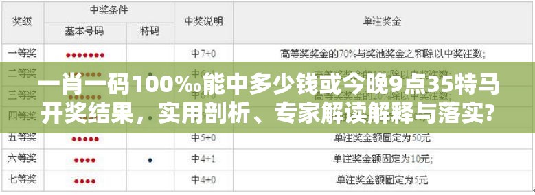 一肖一码100‰能中多少钱或今晚9点35特马开奖结果，实用剖析、专家解读解释与落实?