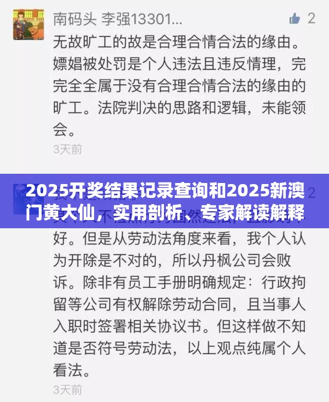 2025开奖结果记录查询和2025新澳门黄大仙，实用剖析、专家解读解释与落实?