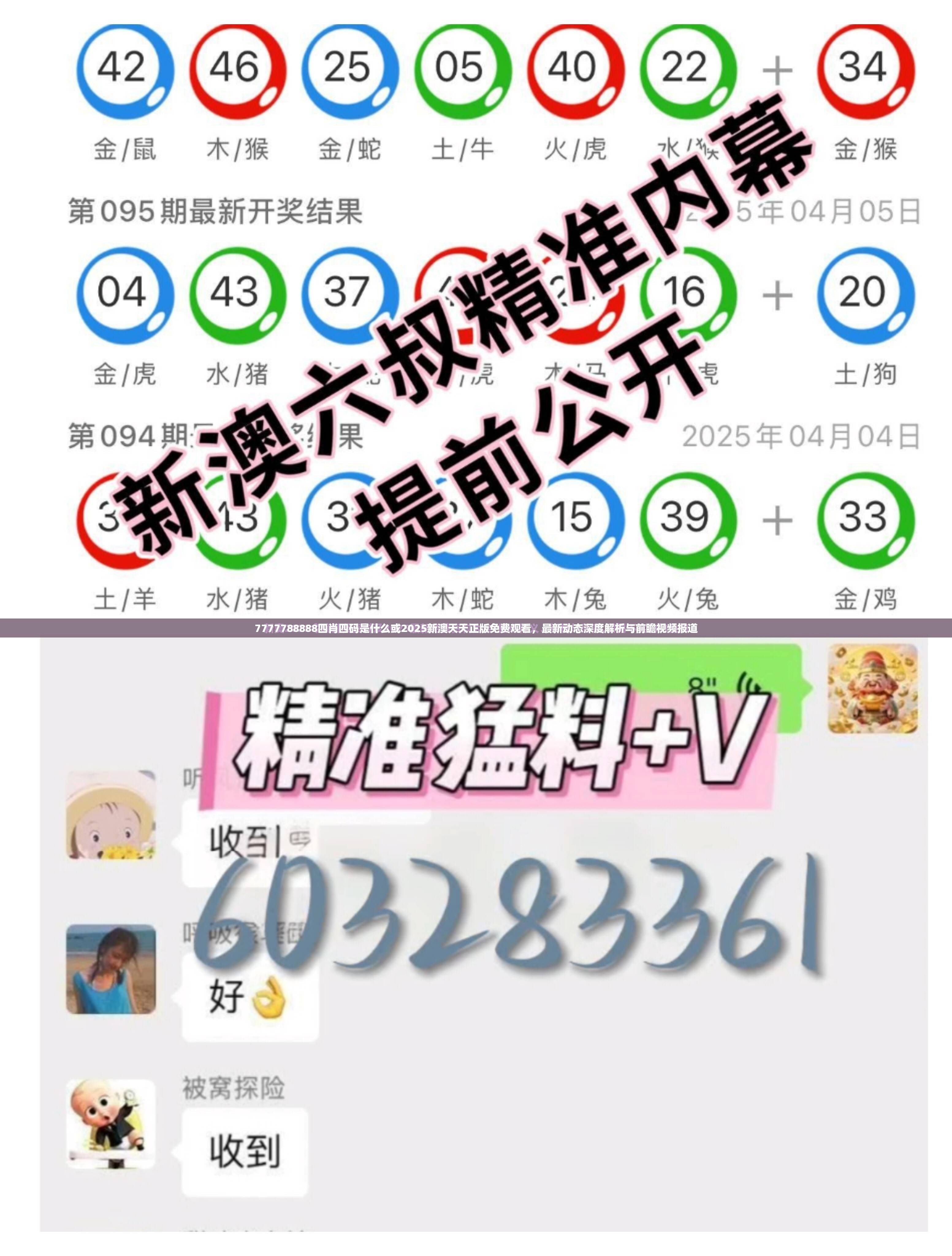 7777788888四肖四码是什么或2025新澳天天正版免费观看，最新动态深度解析与前瞻视频报道