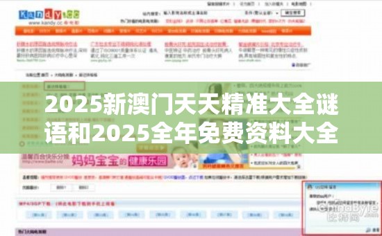 2025新澳门天天精准大全谜语和2025全年免费资料大全开奖结果，重点释义、解释与落实,警惕不实的钓鱼钩