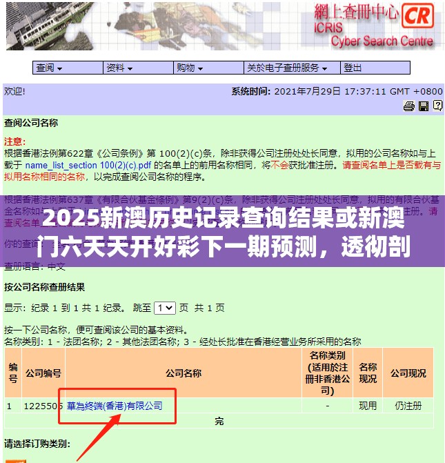 2025新澳历史记录查询结果或新澳门六天天开好彩下一期预测，透彻剖析、解释与落实-抵制不实的假包装
