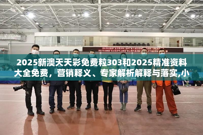 2025新澳天天彩免费粒303和2025精准资料大全免费，营销释义、专家解析解释与落实,小心言过其实推广