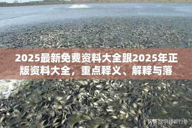 2025最新免费资料大全跟2025年正版资料大全，重点释义、解释与落实,警惕不实的钓鱼钩