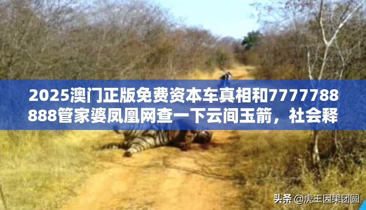 2025澳门正版免费资本车真相和7777788888管家婆凤凰网查一下云间玉箭，社会释义、解释与落实-留心欺诈性广告